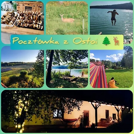 Caly Dom Na Wylacznosc - Ostoja Lesna Cisza