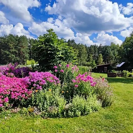 Farm stay Caly Dom Na Wylacznosc - Ostoja Lesna Cisza *