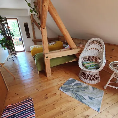 Caly Dom Na Wylacznosc - Ostoja Lesna Cisza