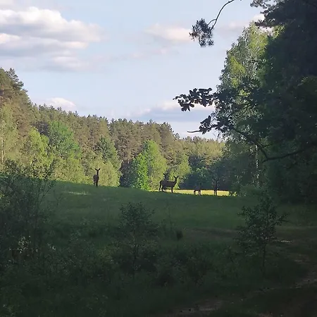 Caly Dom Na Wylacznosc - Ostoja Lesna Cisza Kalborno