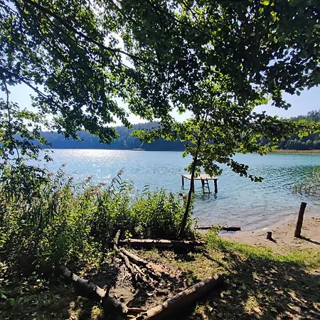 Caly Dom Na Wylacznosc - Ostoja Lesna Cisza