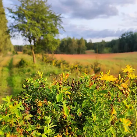 Caly Dom Na Wylacznosc - Ostoja Lesna Cisza Farm stay Kalborno