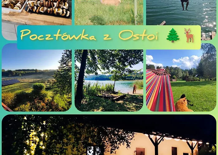 Caly Dom Na Wylacznosc - Ostoja Lesna Cisza