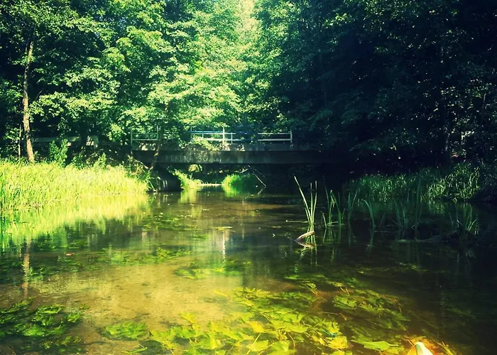 Caly Dom Na Wylacznosc - Ostoja Lesna Cisza *