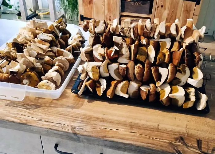 Caly Dom Na Wylacznosc - Ostoja Lesna Cisza Farm stay Kalborno