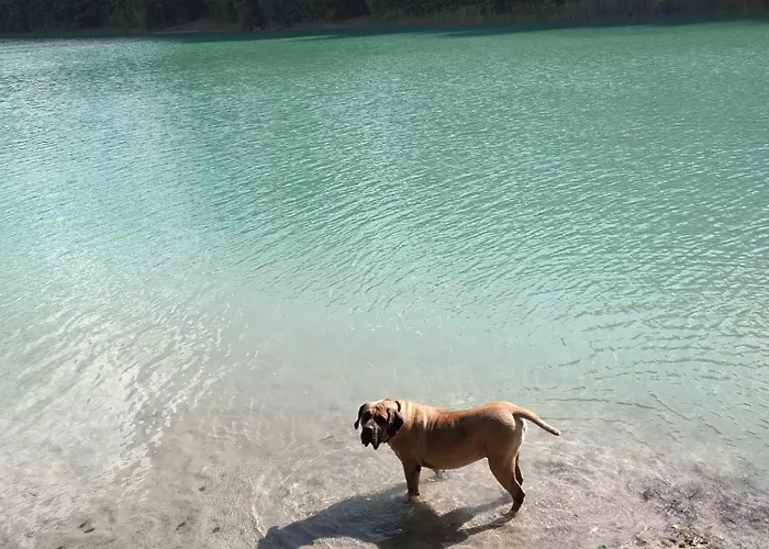 Caly Dom Na Wylacznosc - Ostoja Lesna Cisza