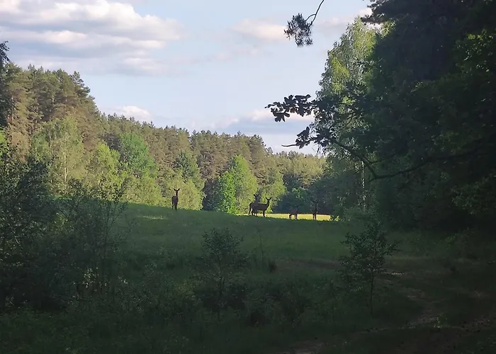Caly Dom Na Wylacznosc - Ostoja Lesna Cisza Kalborno