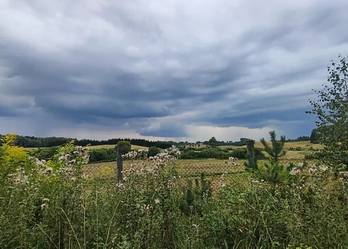 Farm stay Caly Dom Na Wylacznosc - Ostoja Lesna Cisza Kalborno