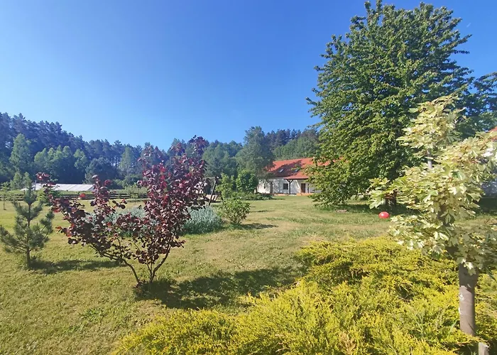 Caly Dom Na Wylacznosc - Ostoja Lesna Cisza Farm stay