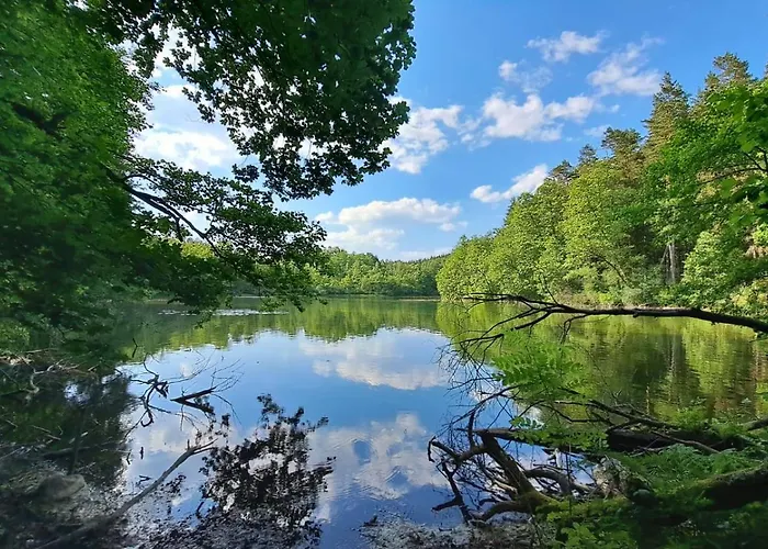 Caly Dom Na Wylacznosc - Ostoja Lesna Cisza * Kalborno