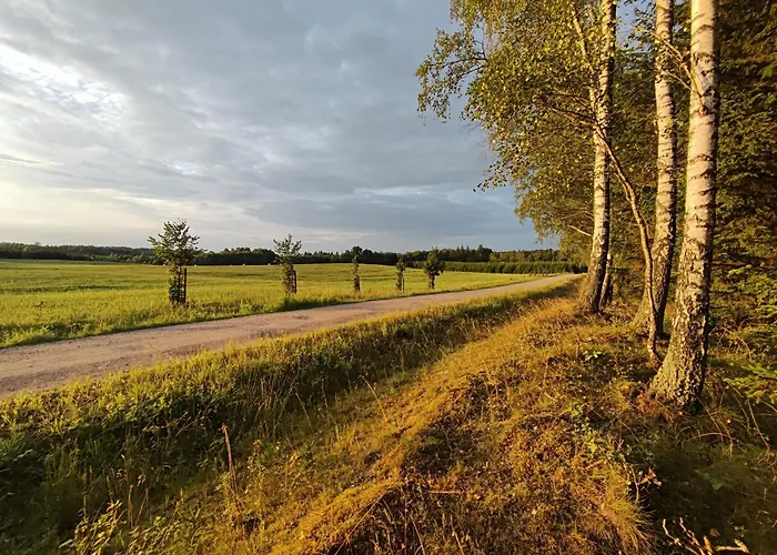 Caly Dom Na Wylacznosc - Ostoja Lesna Cisza * Kalborno