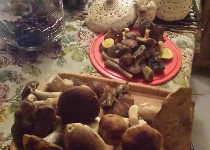 Caly Dom Na Wylacznosc - Ostoja Lesna Cisza Farm stay *