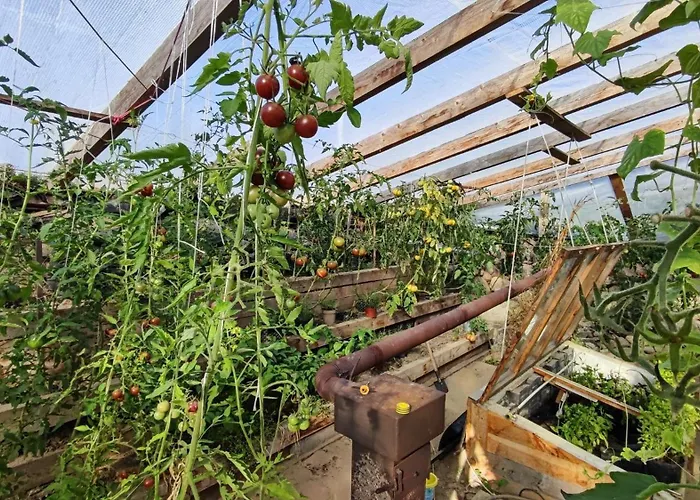 Caly Dom Na Wylacznosc - Ostoja Lesna Cisza *