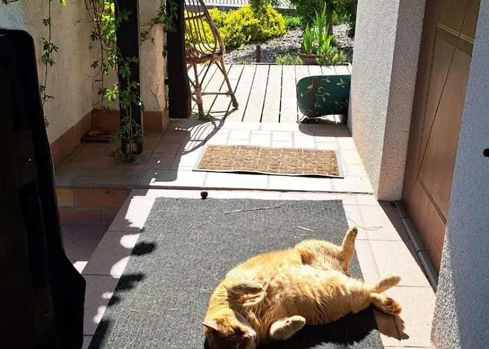 Caly Dom Na Wylacznosc - Ostoja Lesna Cisza Farm stay Kalborno